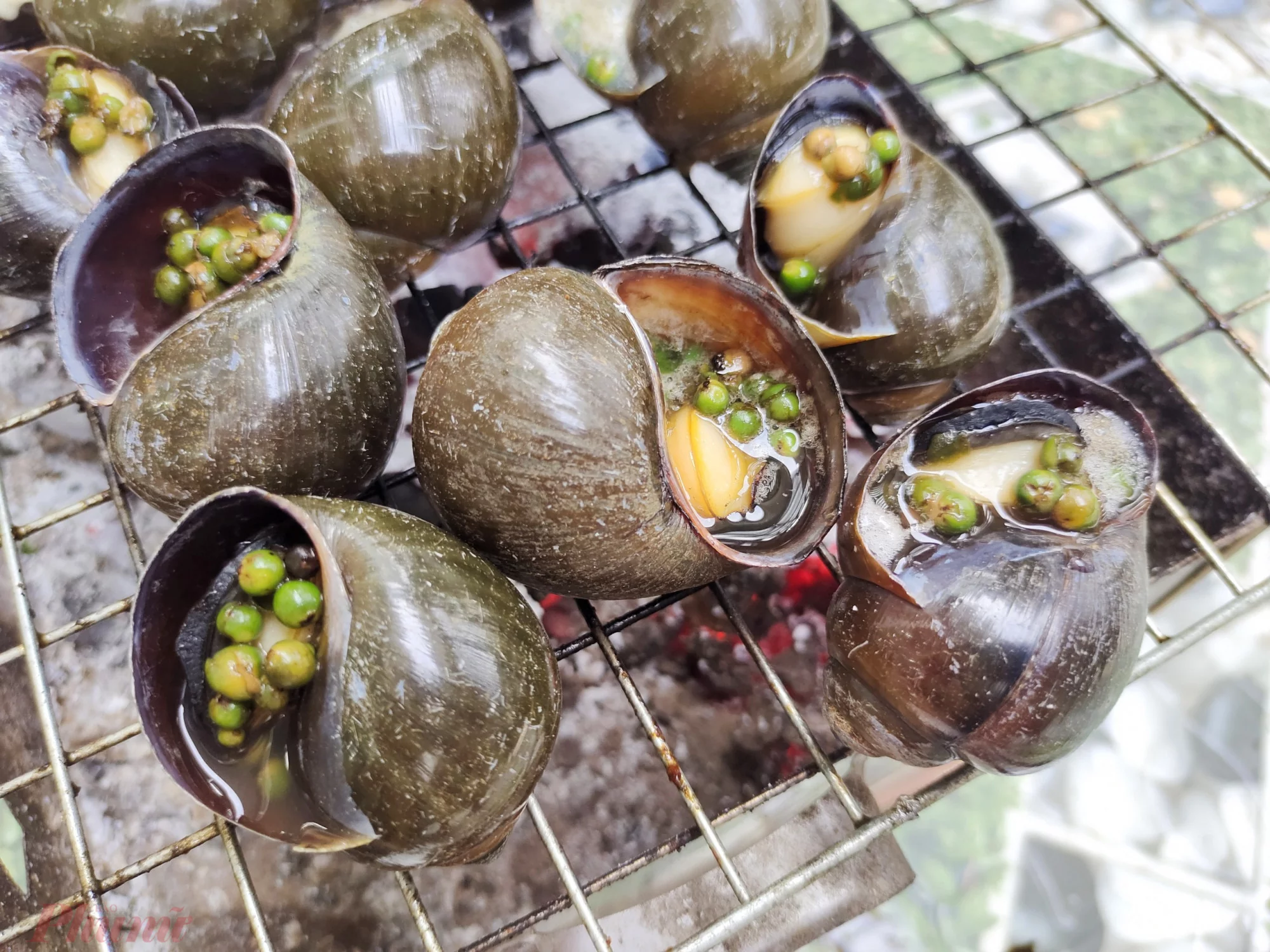Ốc bươu nướng tiêu xanh - Sốt tiêu đen - 100 món ăn Việt